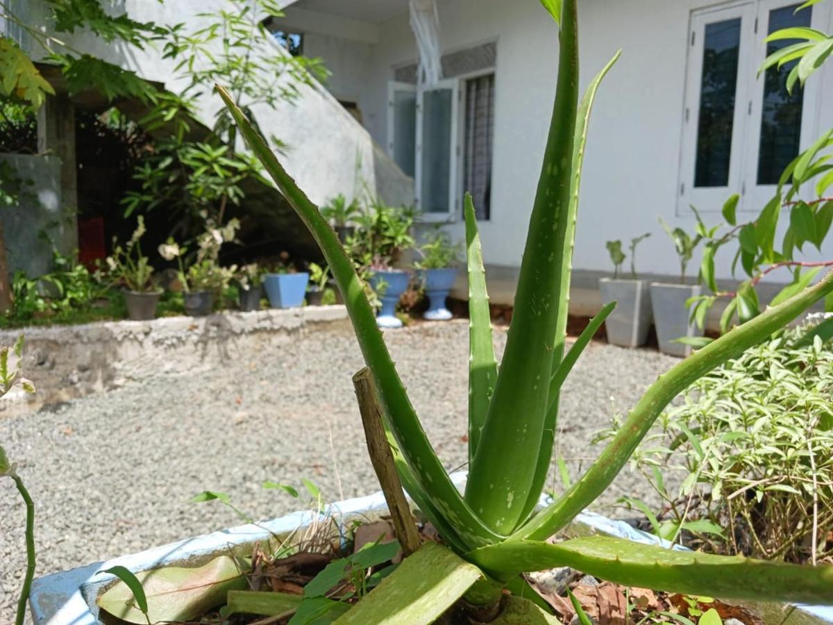 Villa Diamond Nest Unawatuna Exteriör bild
